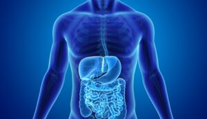 Disbalancing Your Digestive System..