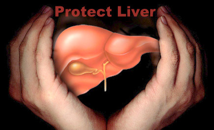 Love your Liver