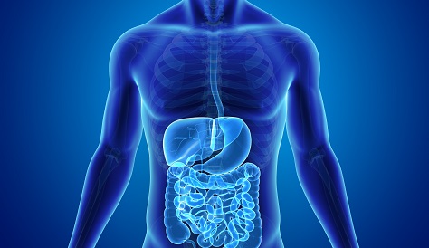 Dr. Sachin Palnitkar - Gastroenterology Treatment in Pune | Best Gastroenterology Clinic in Pune