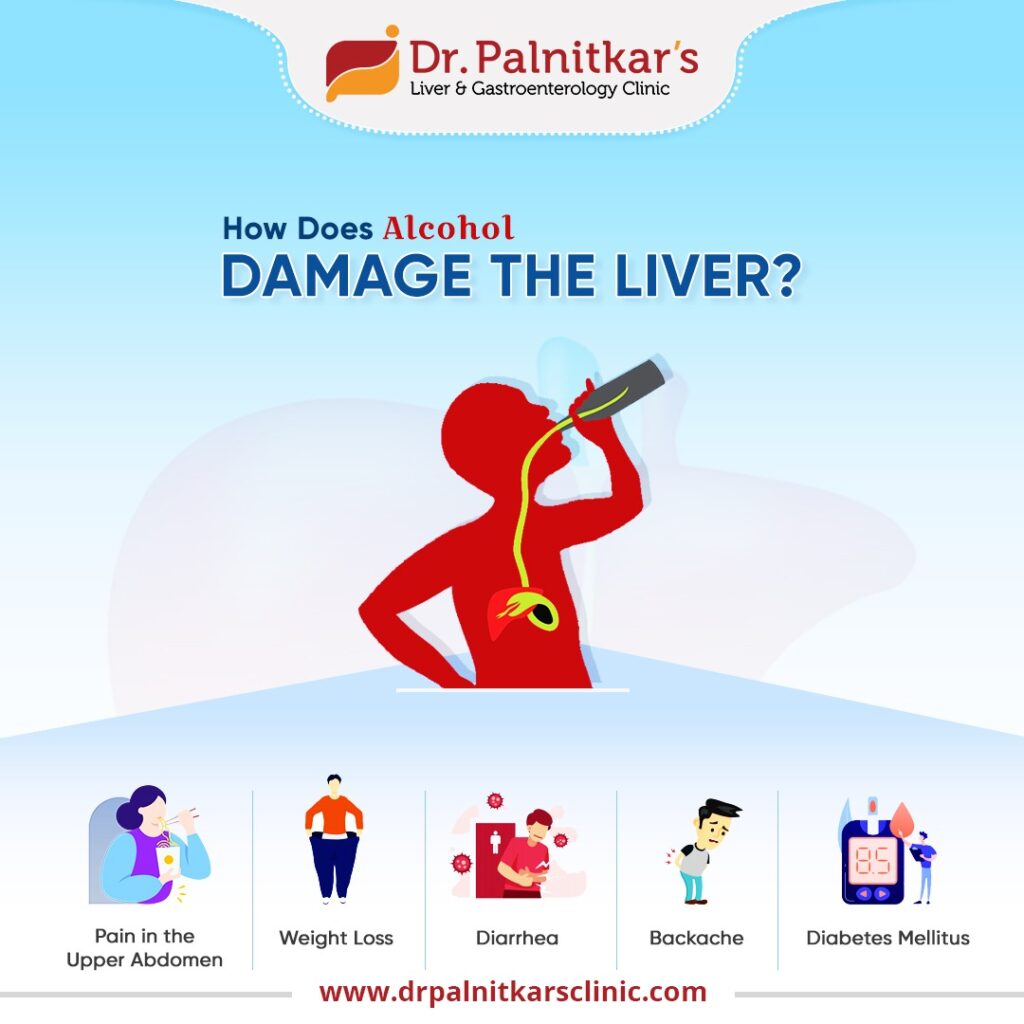 Alcohol Damage the Liver