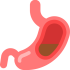 stomach